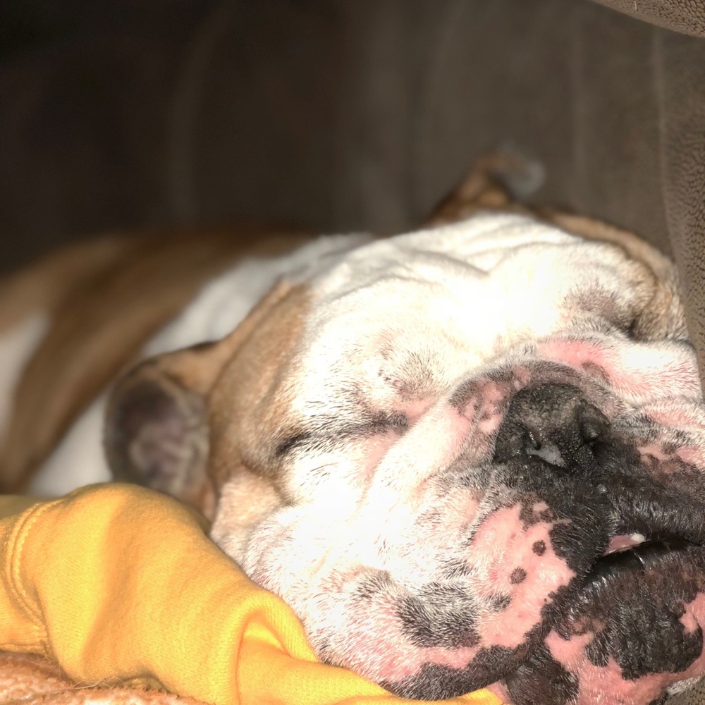 Meet your Posher, Zachary